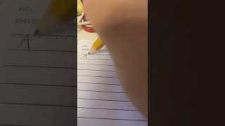 IMG 3586
