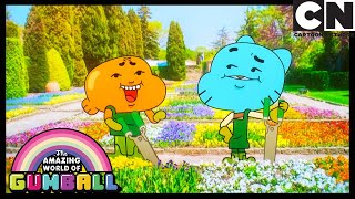 As Pétalas O Incrível Mundo De Gumball Cartoon Network