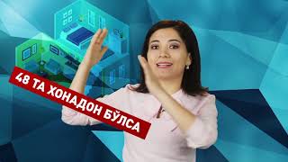 Teshik tom, badbo'y podval, yorilgan truba: JEK!