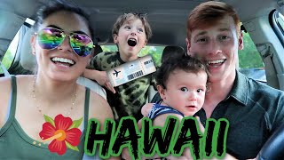 WE ARE MOVING TO HAWAII!! finally sharing the news