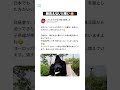 顔見えないと怖い😥