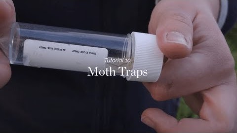 Wild Things - Tutorial 10 - Moth Traps