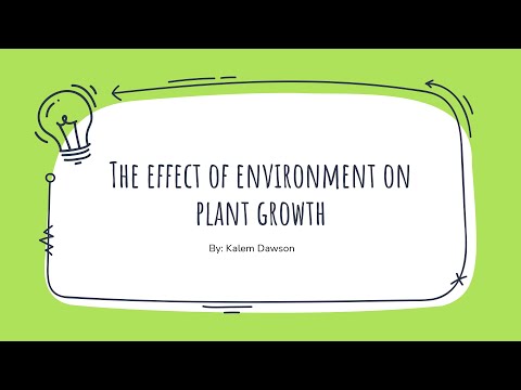 Video: Hoe beïnvloed die omgewing plantegroei?