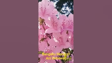 Thumbnail of Bungaku Merekah