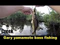 Bass fishing Gary Yamamoto