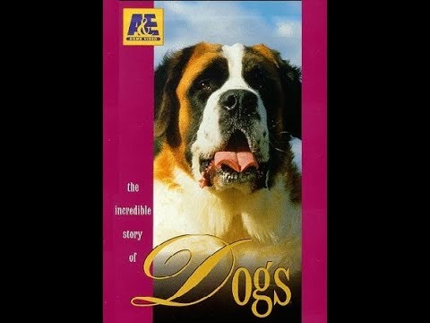 The Incredible Story of Dogs S01E01 - Fatal Attraction - YouTube 