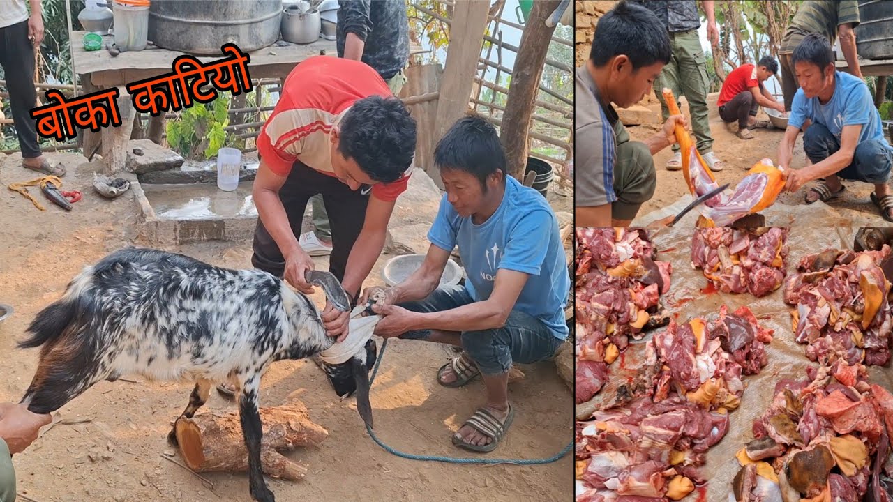आज बोका मार हान्दै || Goat Meat Cutting In Village || Mutton Cutting In Nepal || Meat Cutting Skills