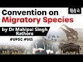 13th COP of the Convention on Migratory Species at Gandhinagar, United Nations Environment Programme
