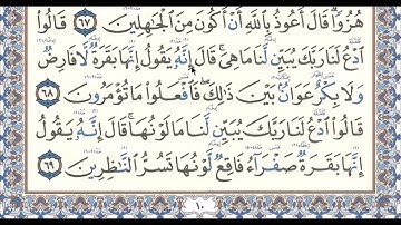 سورة البقرة - الآية 68 - رواية حفص عن عاصم للاخ الفاضل دريد الموصلي