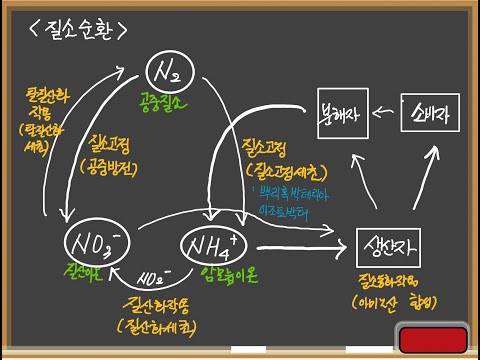 [2015 교육과정] 질소순환 (물질순환과 에너지 흐름)