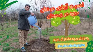 آبیاری درختان میوه در فصل زمستان به چه شکل انجام شود و کدام درختان را نباید آب داد
