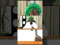 EFIE ASETENA TV #efieasetena #christiandiscussion #love #easter