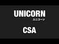 【 弾いてみた 】 UNICORN / CSA【 Guitar Cover 】