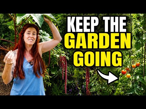 KEEP Your Garden Producing Until Frost