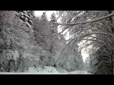 ხარისთვალი 14.01.13