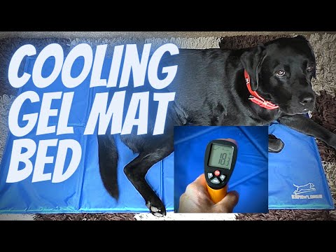 Best value Cooling Gel dog or cat mat bed. REALLY WORKS