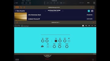 DLYM Delay Modulator - 100% FREE AUv3 Effect - Demo for the iPad
