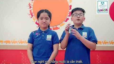 Sắc màu Apollo: Khám phá khả năng thích nghi theo tình huống của học viên Apollo English