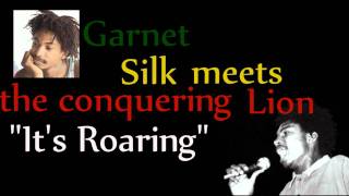 Garnet Silk - It's Roaring chords