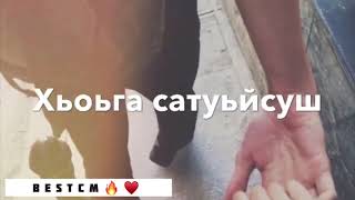 Везаш Хьо Хьоьга Сатуьйсуш Ц1е Летта Богу Кийрааа😻🔥