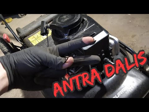Video: Kaip pataisyti sulaikytą vejapjovės variklį?