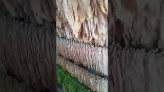 видео: 25 сентября 2025 г. картинка: 25 сентября 2025 г.