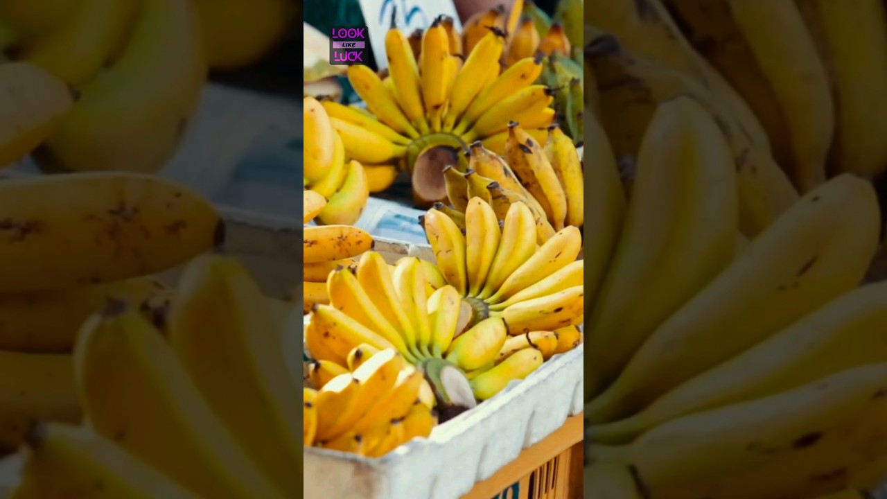 INTERESTING FACTS ABOUT BANANAS 🍌 | FRUIT FACTS | BANANA FACTS