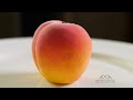 Peach Shaped Dessert – Bruno Albouze