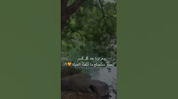 اكتب شيء تؤجر عليه #قرآن #تلاوة_خاشعة