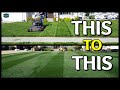 How I TRANSFORMED My Lawn // Tall Cut Grass to Short Cut Grass