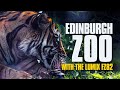 A good camera for Zoo Photography? Lumix FZ80/FZ82 at Edinburgh Zoo