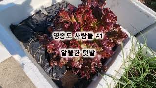 영종도 사람들1
