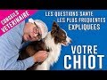 Super conseils pour la sant et le bien tre de votre chiot