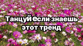 💓🍓Танцуй Если Знаешь Этот Тренд💛😍Тренды 2024Года🍓💓