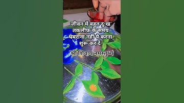 जीवन में बहुत तकलीफ आ जाए तो तीन बेलपत्र का यह उपाय अवश्य करें#shorts #viral #mahadev #shiv#mahakal