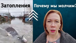 Паводок. Эвакуация. Гибель животных. Почему мы молчим?