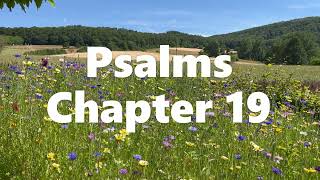 The Book of Psalms Chapter 19 - Contemporary English Version (CEV) - Audio Bible