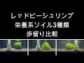 レッドビーシュリンプ栄養系ソイル歩留まり比較