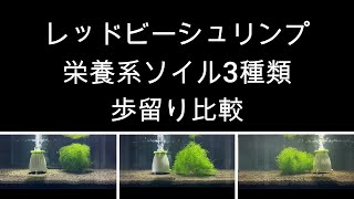 レッドビーシュリンプ栄養系ソイル歩留まり比較