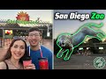 We Spent 6 Hours at the San Diego Zoo