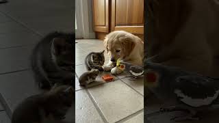 One Treat, Four Friends, And Big Decisions