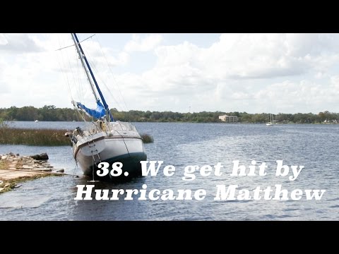 Hurricane Matthew strikes the Lazy Gecko! - Lazy Gecko VLOG 37