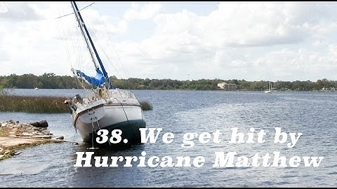 Hurricane Matthew strikes the Lazy Gecko! - Lazy Gecko VLOG 37