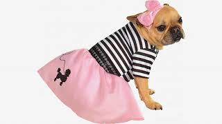 Must See Review! DC Comics Pet Costume, X-Large, Wonder Woman
