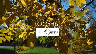 Осень в Одессе (studiavit 2018)