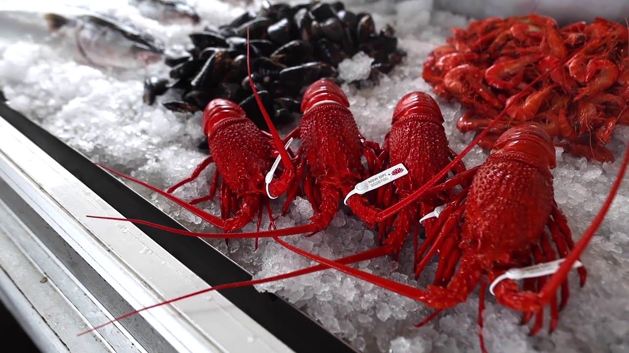 Enjoy fresh local seafood on the waterfront at JJ's At The Marina