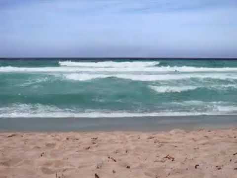 هانى شاكر علي الدحكايه أبوعمرو