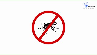 El Palomar Tv reklama społeczna ostrzegająca przed chorobami przenoszonymi przez komary i jak radzić