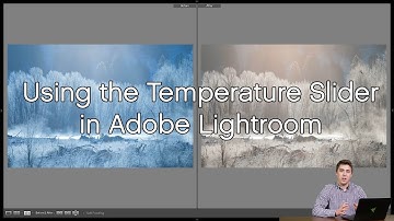 Using the Temperature Slider in Lightroom