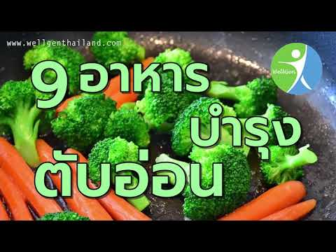 9อาหารบำรุงตับอ่อน WELLGENTHAILAND.COM